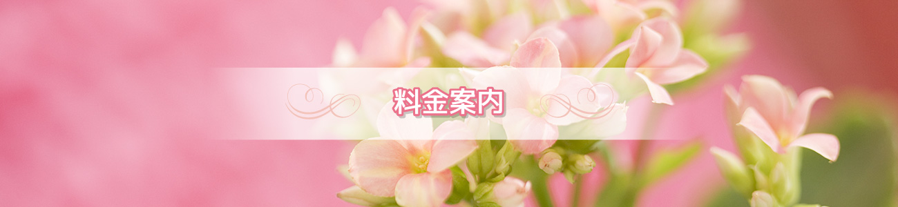料金案内